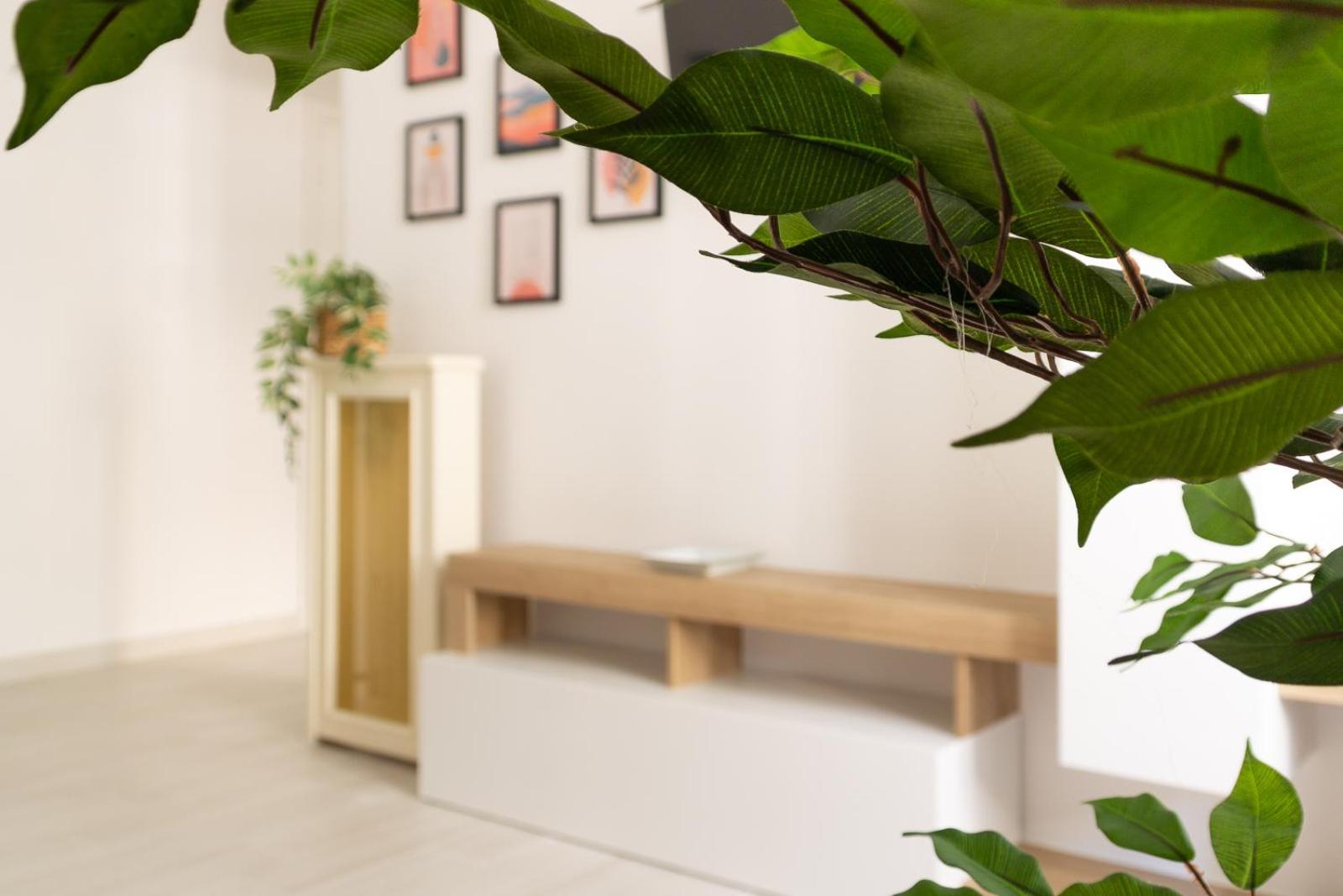 Nextovatican Apartment ローマ エクステリア 写真