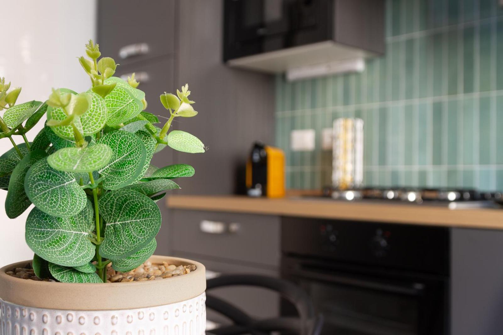Nextovatican Apartment ローマ エクステリア 写真